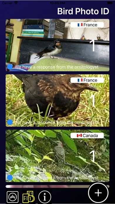 صور Bird ID - Bird Identification