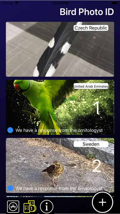 صور Bird ID - Bird Identification