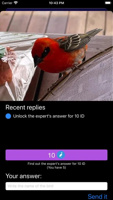 صور Bird ID - Bird Identification
