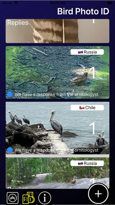 صور Bird ID - Bird Identification