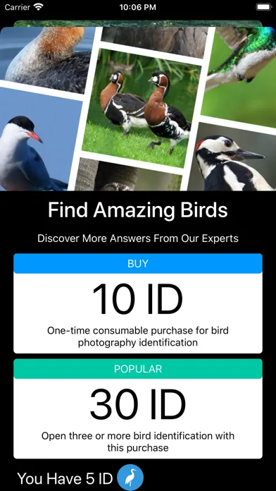 صور Bird ID - Bird Identification
