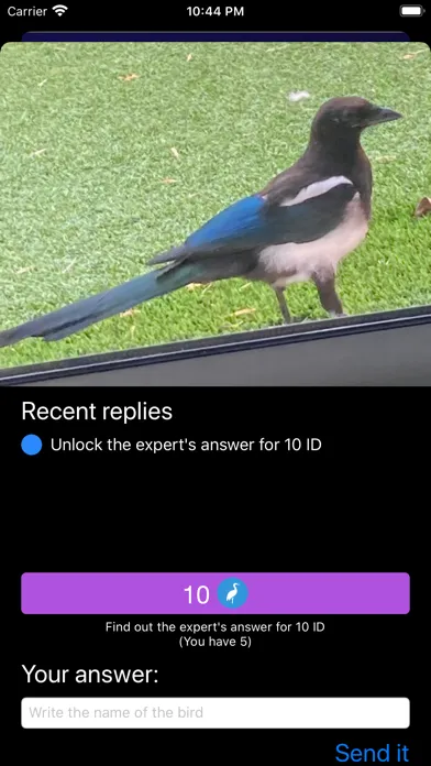 صور Bird ID - Bird Identification