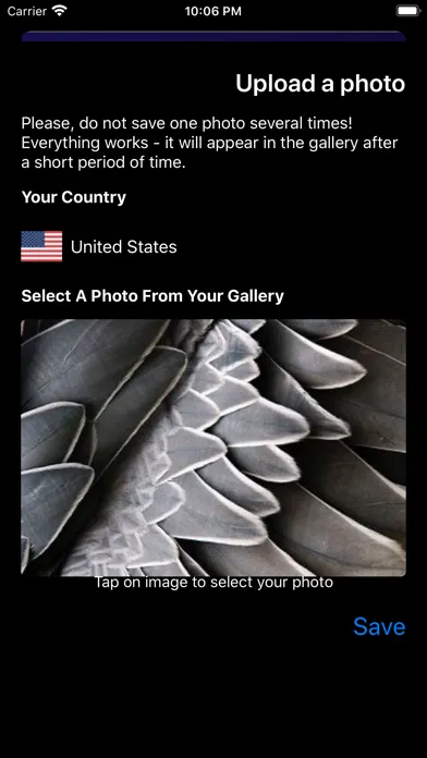 صور Bird ID - Bird Identification