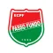 Esporte Clube Passo Fundo