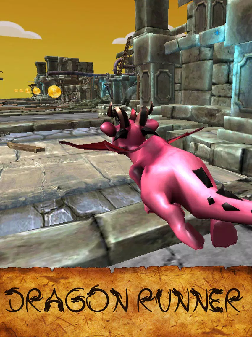 Dragon Run 3D iPad 应用截图
