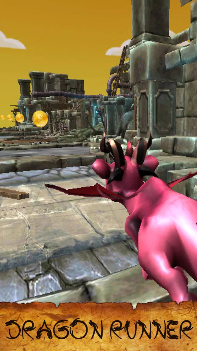 Dragon Run 3D应用截图