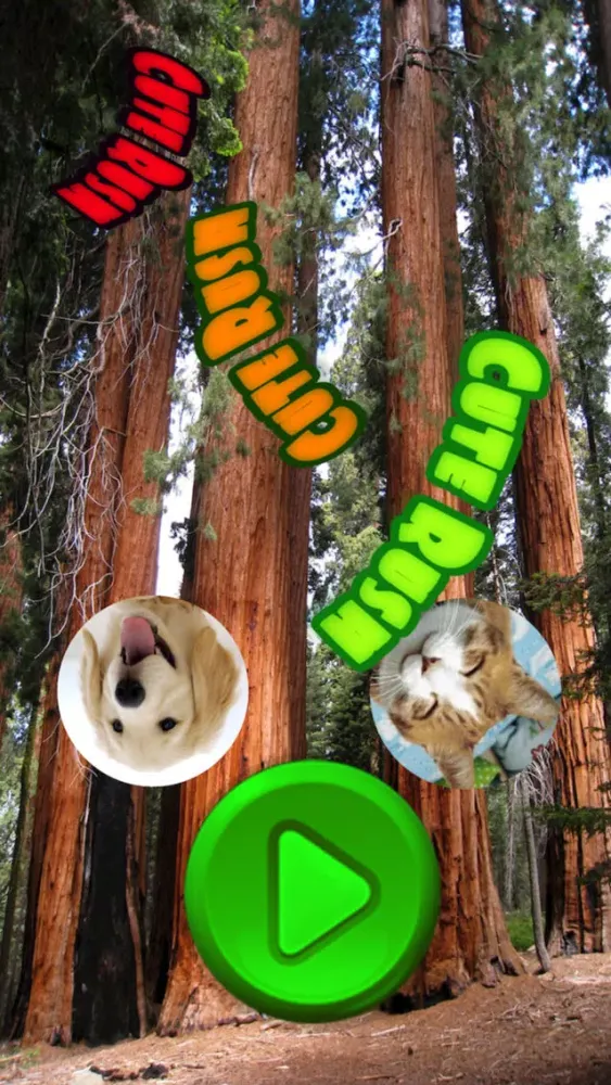Скриншоты Super Cute Pet Touch超可爱宠物摸
