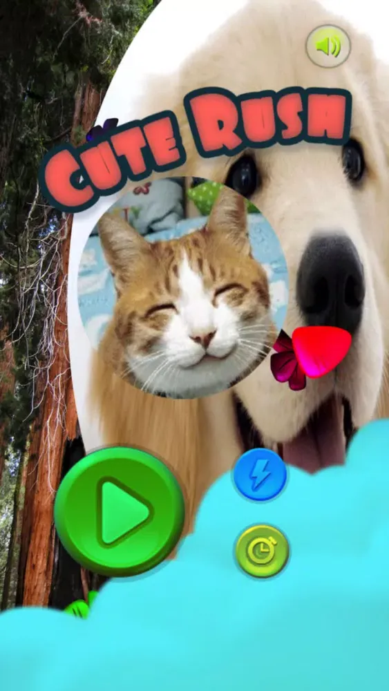Скриншоты Super Cute Pet Touch超可爱宠物摸