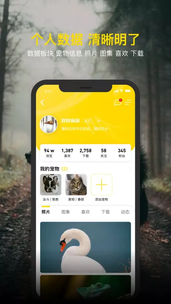 Zrzuty ekranu 小尾巴 - 记录宠物生活，每一张都是大片