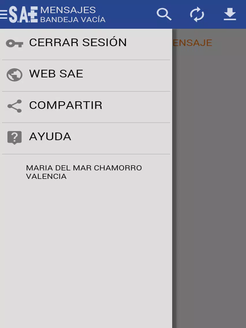 Tangkapan skrin SAE iPad 