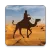 الديار