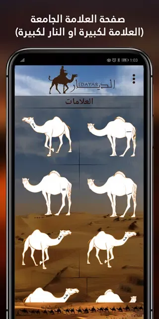 ภาพหน้าจอของ الديار