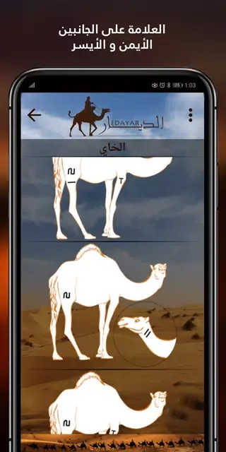 ภาพหน้าจอของ الديار