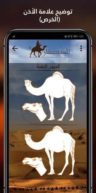 ภาพหน้าจอของ الديار