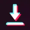 SnapTik : Save TikTok Video