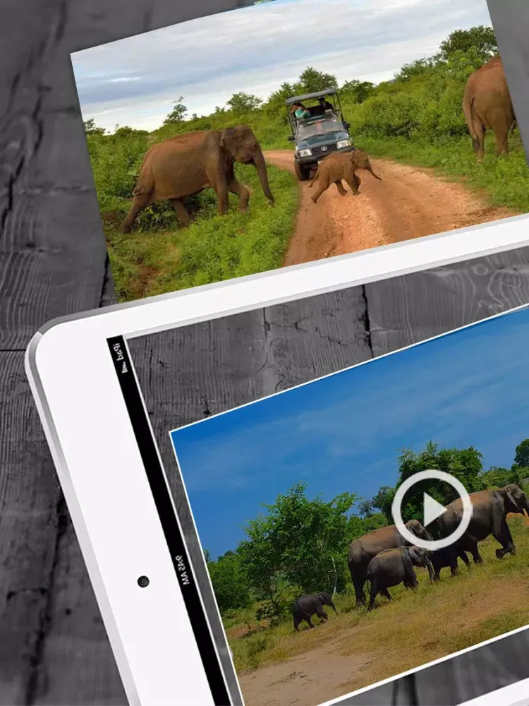 Crowe® AR Experience iPad  Screenshots