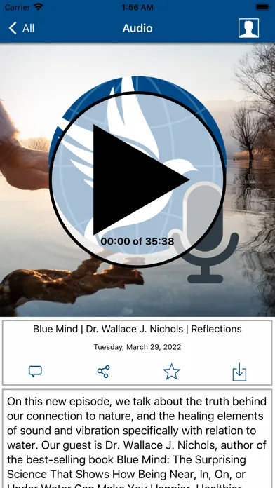 Zrzuty ekranu Edgar Cayce Reflections