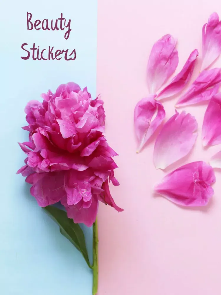 Beauty Stickers Pro iPad  스크린샷