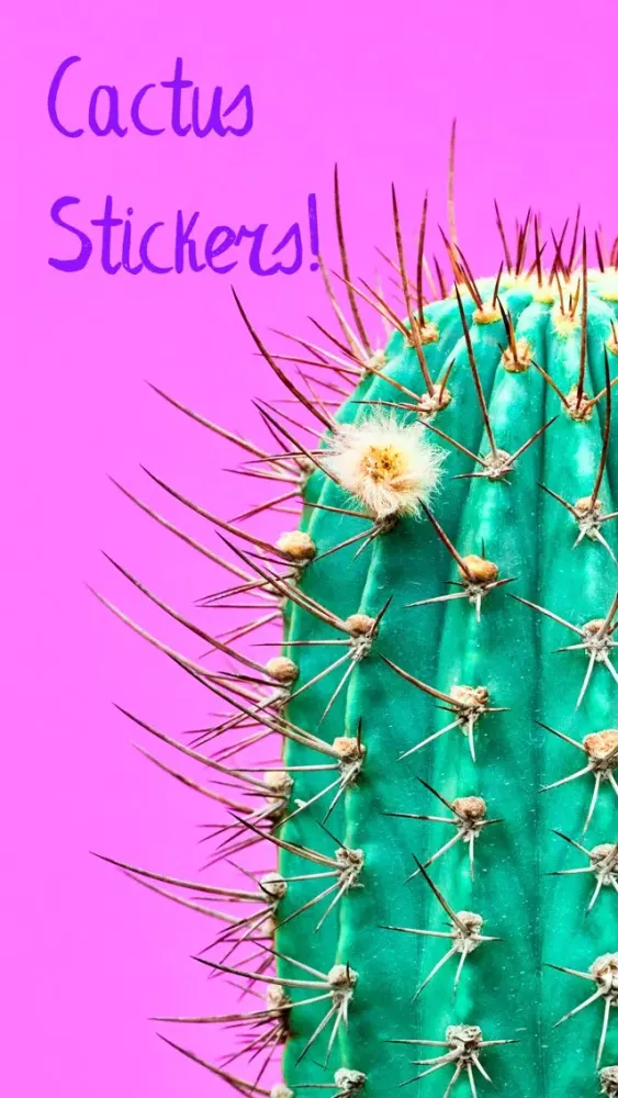 Cactus Stickers سکرین شاٹس