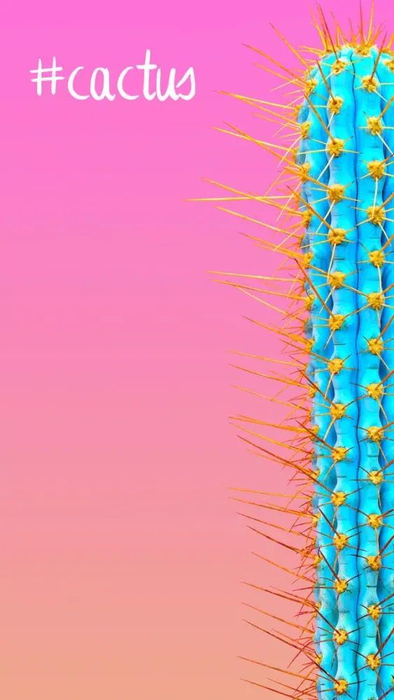 Ảnh chụp màn hình của Lovely Cactus Stickers