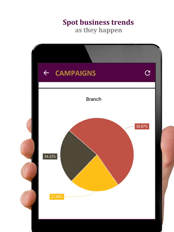 Edge1 BI: Data Analytics iPad  Screenshots