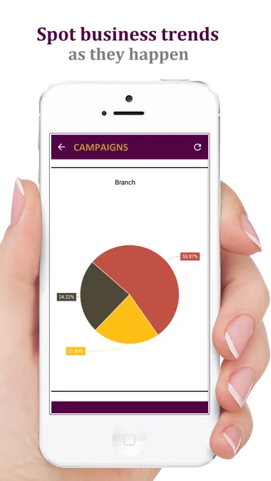 Edge1 BI: Data Analytics Screenshots