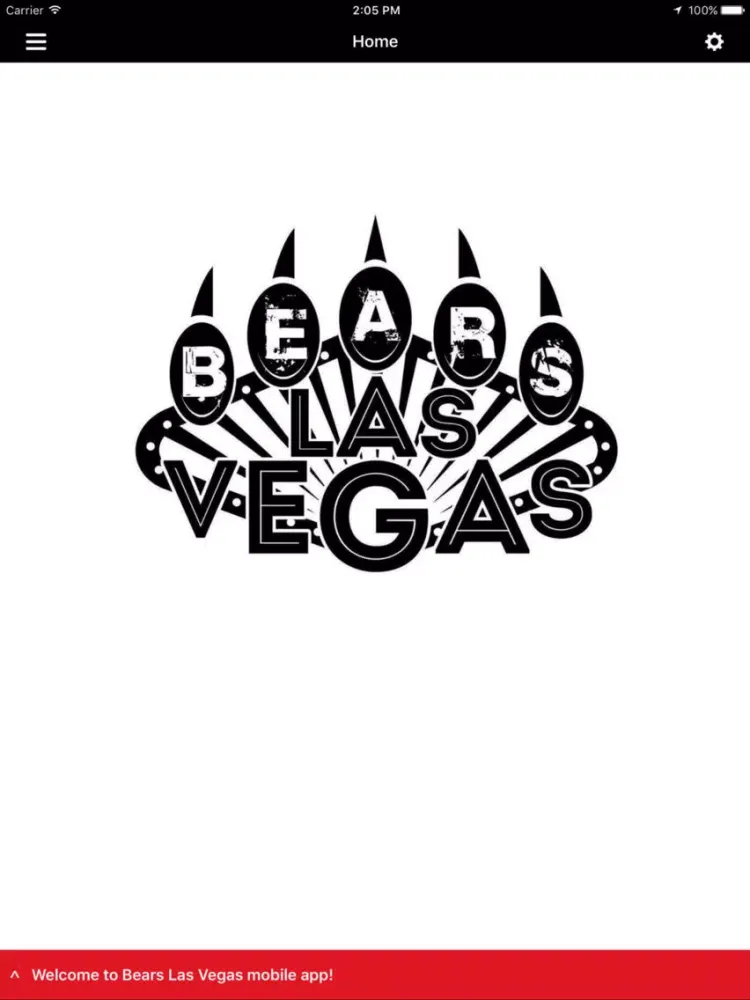 Скриншоты Bears Las Vegas iPad 