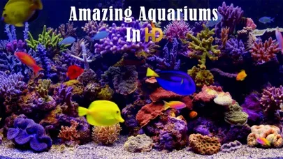 صور Amazing Aquariums In HD