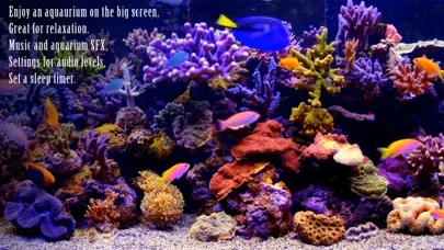 صور Amazing Aquariums In HD