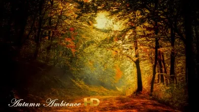 Autumn Ambience HD Screenshots
