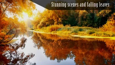 Autumn Ambience HD Screenshots