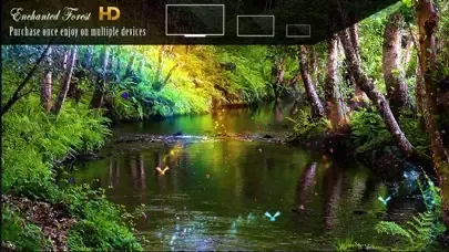 Enchanted Forest HD سکرین شاٹس