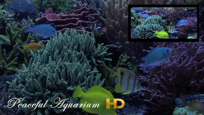 Peaceful Aquarium HD Ekran Görüntüleri