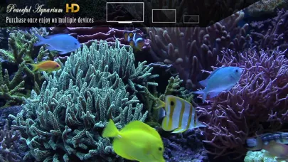 Peaceful Aquarium HD Ekran Görüntüleri