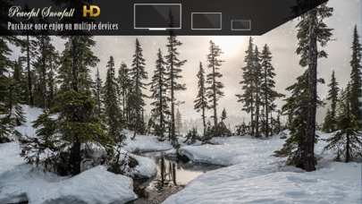 Captures d'écran de Peaceful Snowfall HD