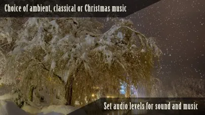 Screenshot di Peaceful Snowfall HD