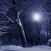 Peaceful Snowfall