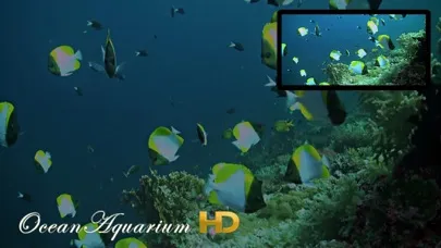 Tangkapan skrin Ocean Aquarium HD