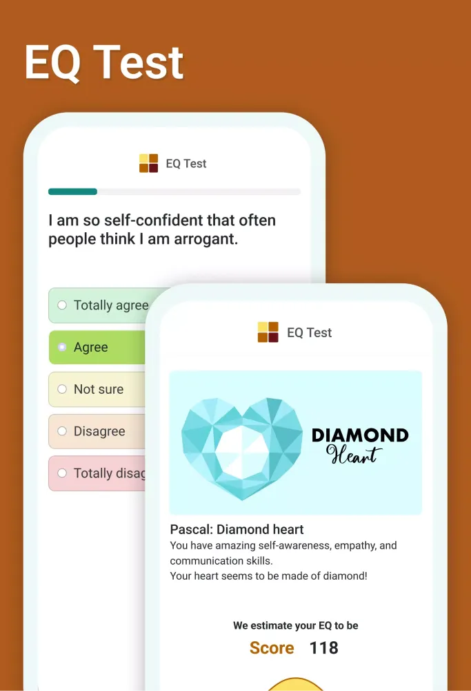 Personality Test Psychometrica Screenshots