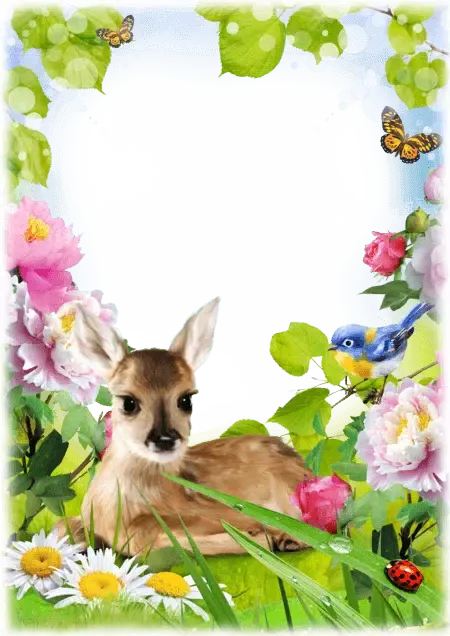 Kids Photo Frame Screenshots