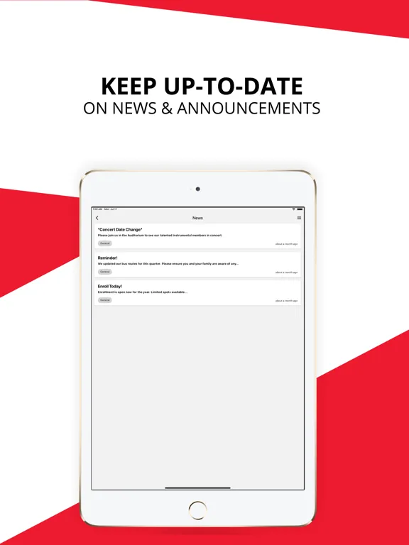Effingham Unit 40 Schools iPad  스크린샷