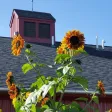 Middle Creek Montessori