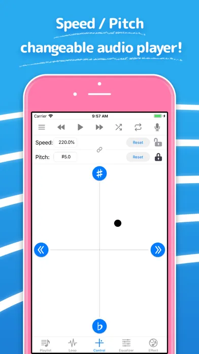 Screenshot di Hayaemon - Music Player