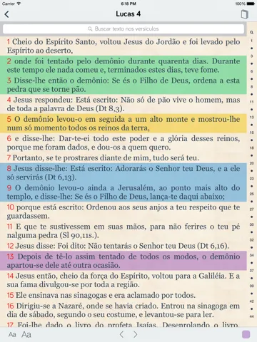 Pocket Biblia - Bíblia Católica iPad  स्क्रीनशॉट