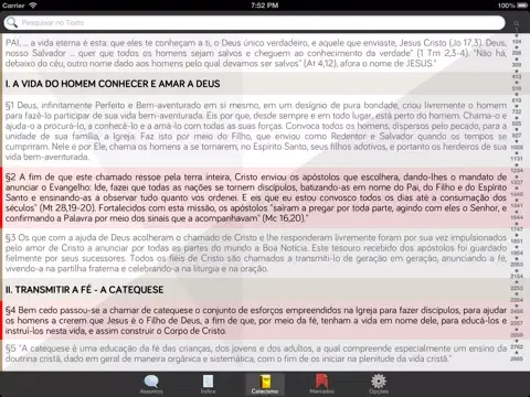 Pocket Catecismo - Catecismo da Igreja Católica iPad 应用截图