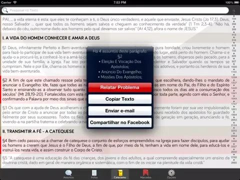 Pocket Catecismo - Catecismo da Igreja Católica iPad 应用截图