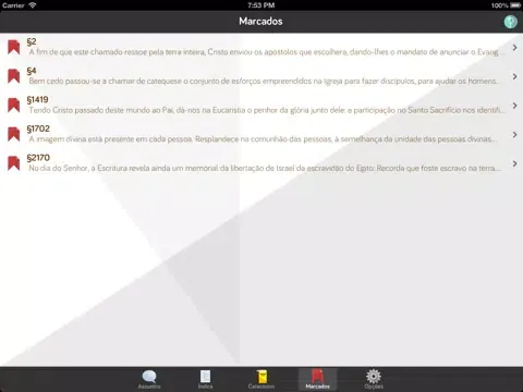 Pocket Catecismo - Catecismo da Igreja Católica iPad 应用截图