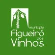 Município Figueiró dos Vinhos