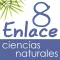 Vector Z | Enlace Ciencias Naturales 8