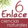 Vector Z | Enlace Ciencias Naturales 6